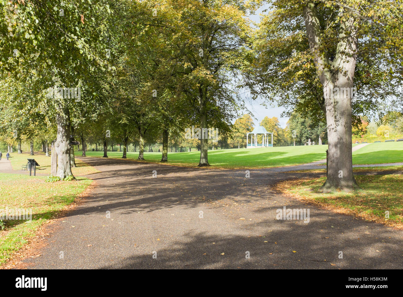 Chemin bordé d'arbres à travers le parc de la carrière à Shrewsbury Banque D'Images