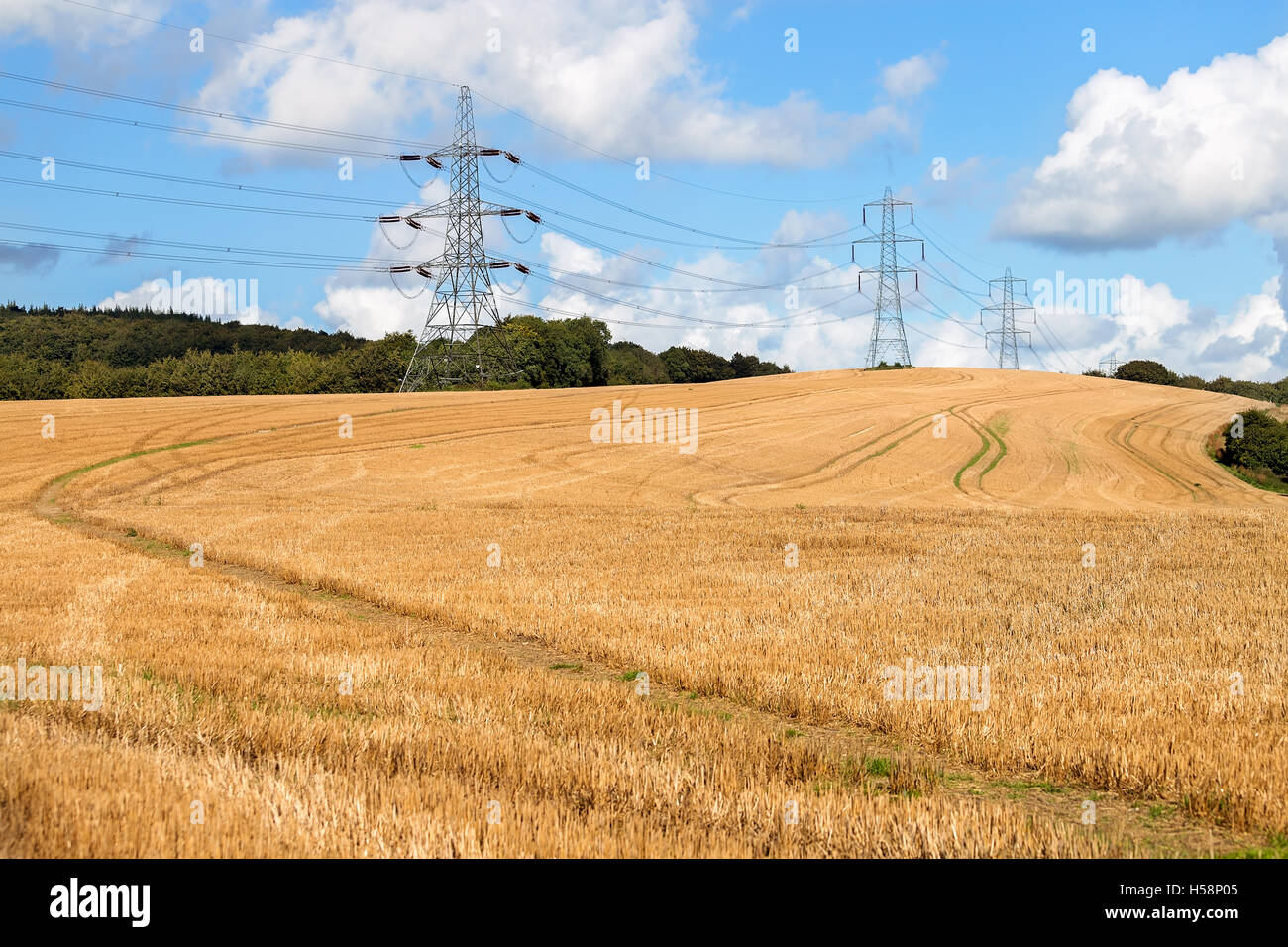 Pylônes électriques dans la campagne Banque D'Images