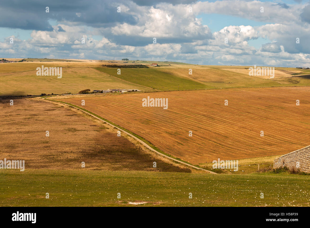 Au début de l'automne de la campagne autour de Beachy Head, East Sussex. Banque D'Images