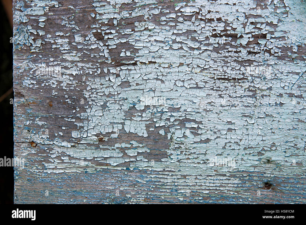 Texture bois avec peinture la couleur est arrachée. Peinture écaillée - texture de fond en bois. Banque D'Images
