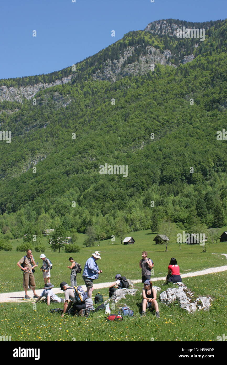 Un groupe de marche repose dans les champs Bohinji alpin près du lac dans le parc national du Triglav, le nord de la Slovénie. Banque D'Images