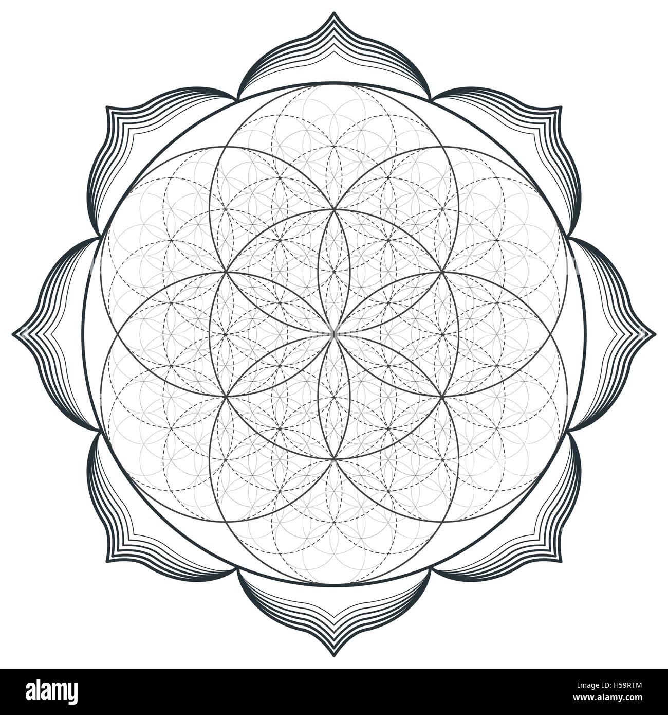 Contour Vectoriel Design Monochrome Mandala Géométrie Sacrée