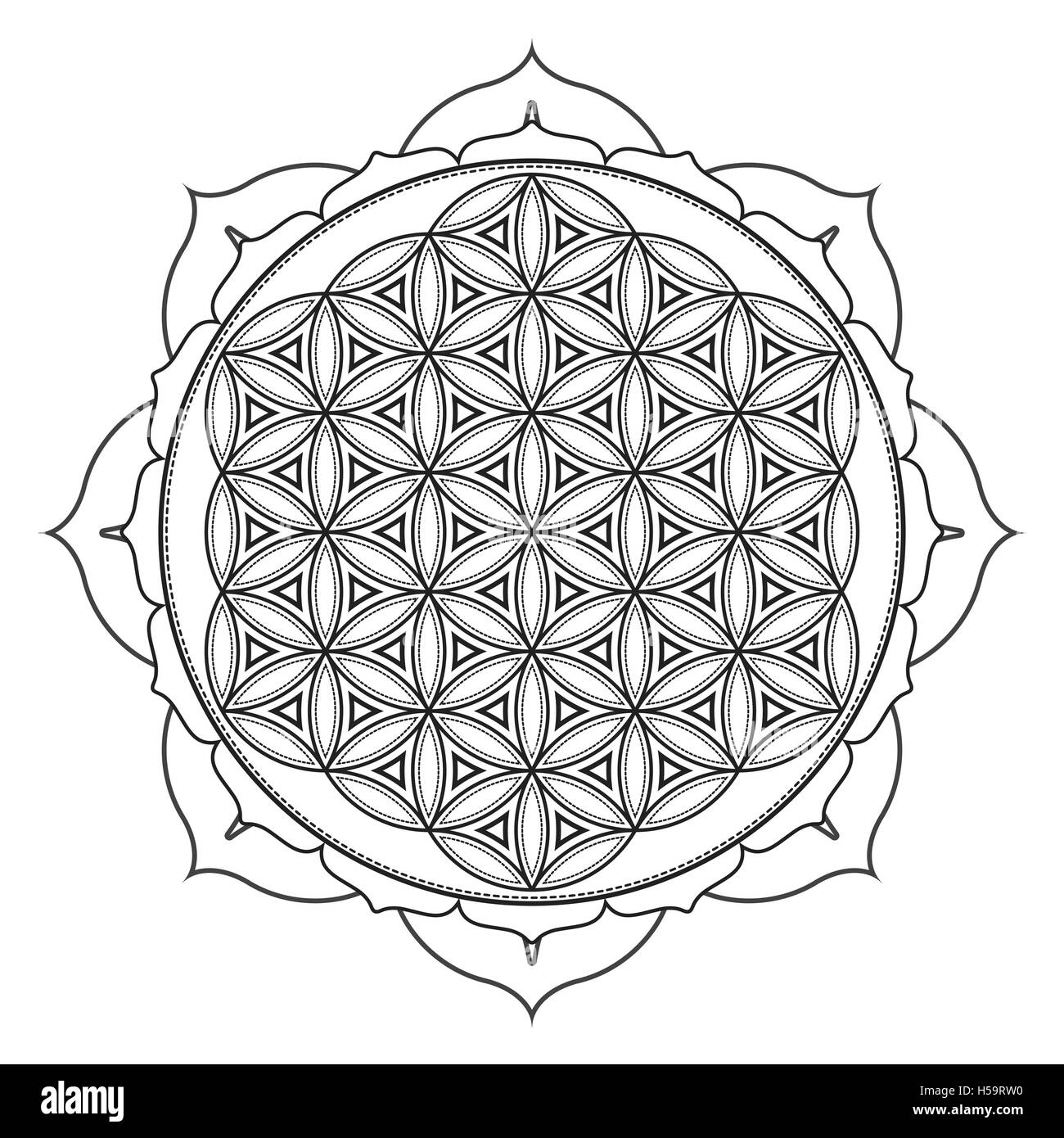 Contour Vectoriel Design Monochrome Mandala Géométrie Sacrée