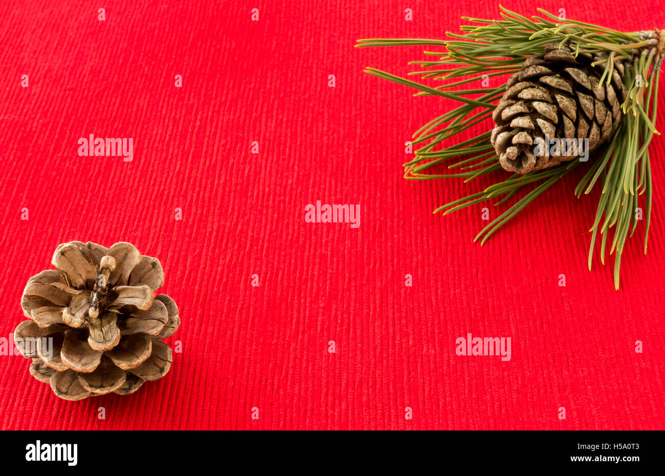 Fond d'hiver avec des pommes de pin et sapin Twig Banque D'Images Fond d'hiver avec des pommes de pin et sapin Twig Banque D'Images
