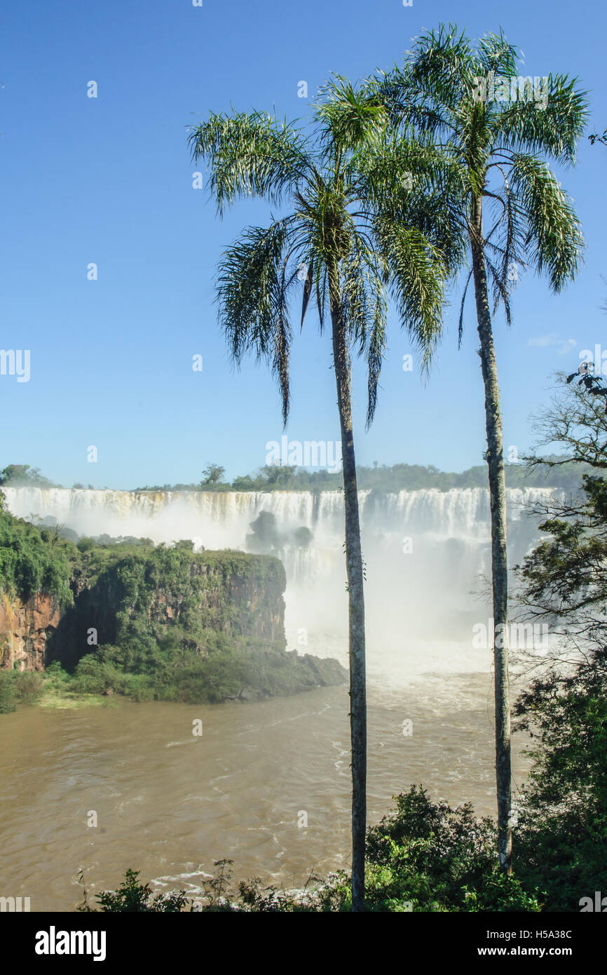 Parc National d'Iguaçu, à la frontière de l'Argentine et le Brésil. Côté argentin Banque D'Images