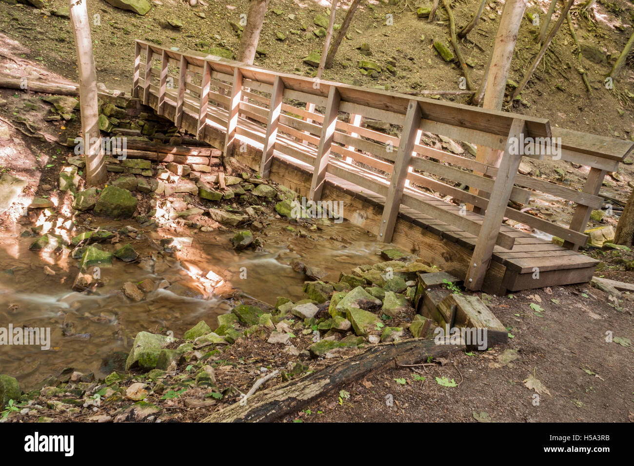 Passerelle en bois penchée pommelé soleil dans les bois. Banque D'Images