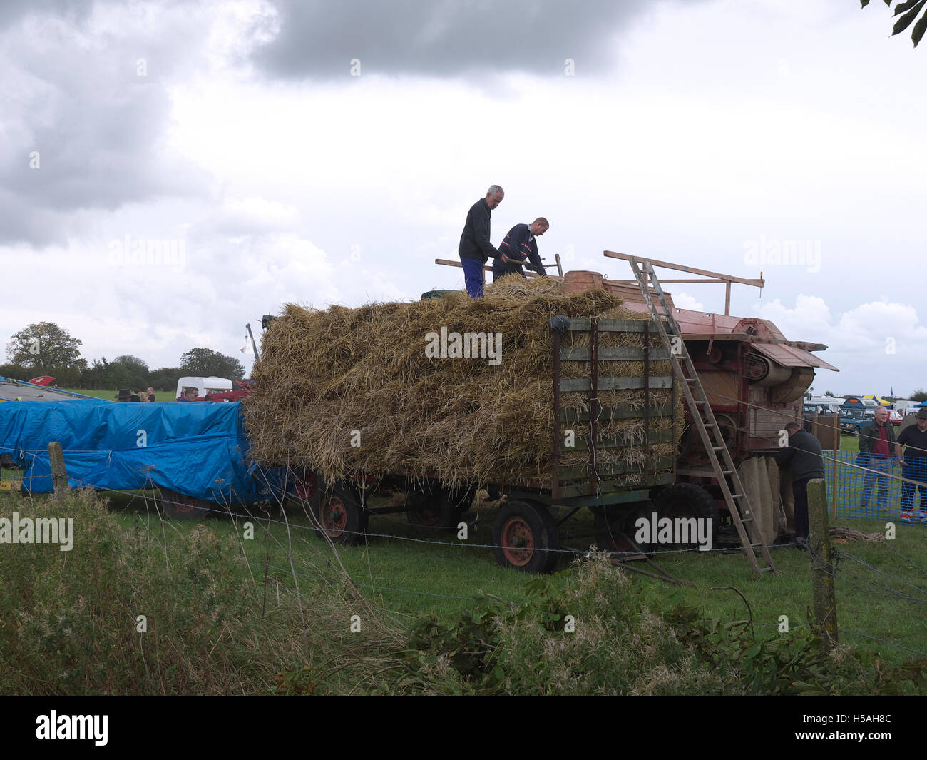 Le chargement de blé dans une ancienne batteuse d'être séparés en unités de la paille et du grain vintage week-end Banque D'Images