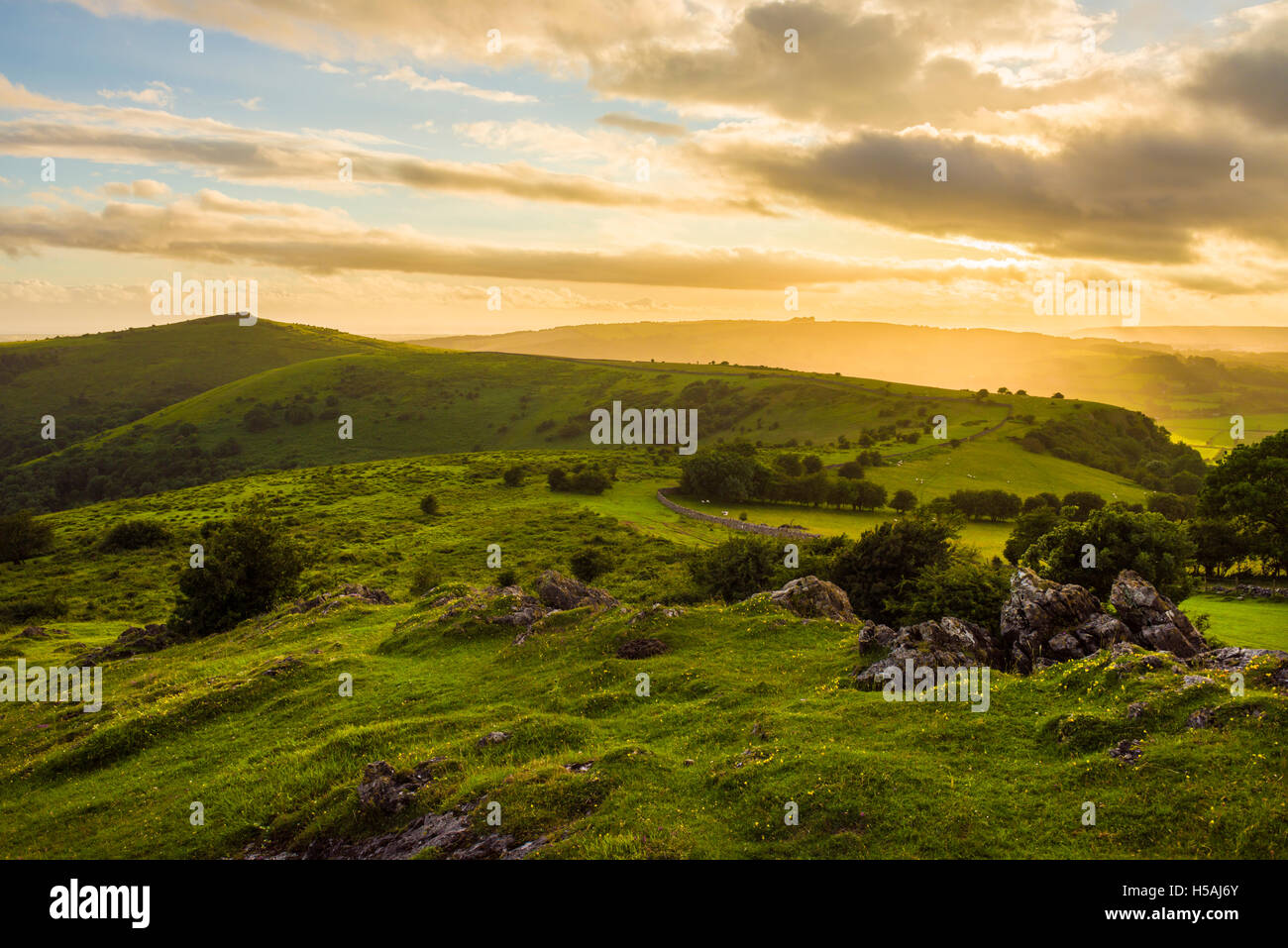 Avec l'hésitation de pointe au-delà de l'escroc Mendip Hills. Le Somerset. L'Angleterre. Banque D'Images