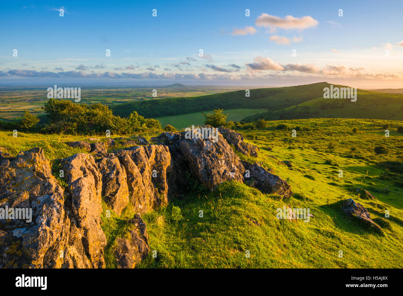 Avec l'hésitation de pointe au-delà de l'escroc Mendip Hills. Le Somerset. L'Angleterre. Banque D'Images