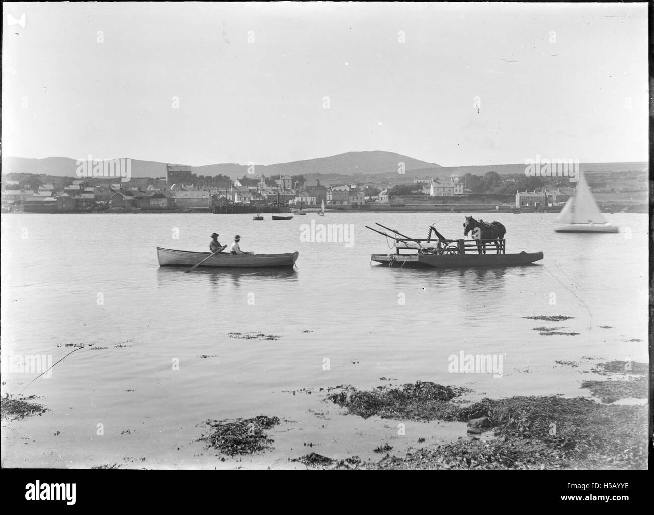 Un cheval est vu dans un port, peut-être dans un contexte historique ou maritime. Le cadre inhabituel d'un cheval près de l'eau peut suggérer une scène de travail historique ou de transport. Banque D'Images