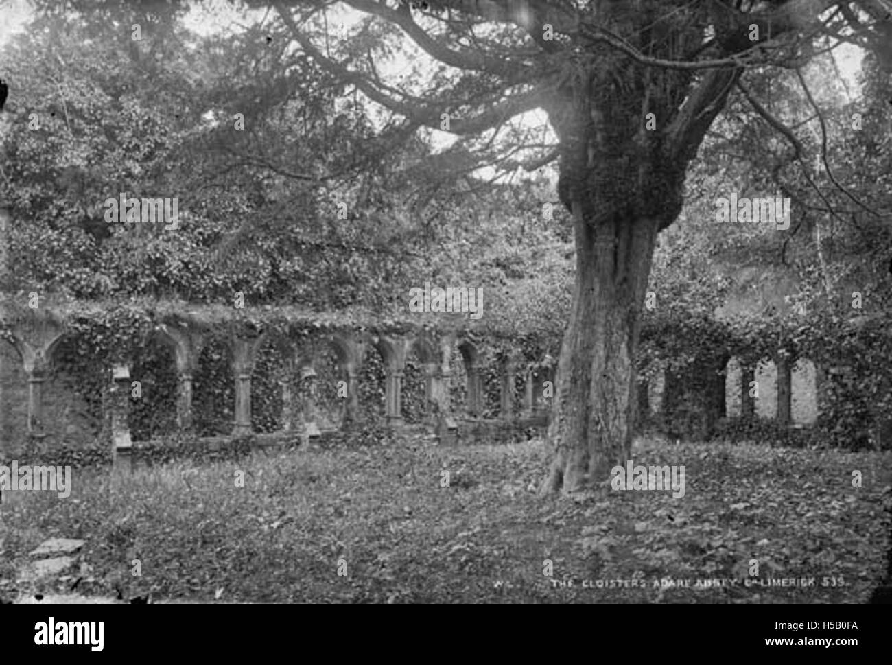 Une photographie des cloîtres de l'Abbaye à Adare, Limerick, montrant l'architecture historique et l'importance culturelle de l'endroit. Banque D'Images