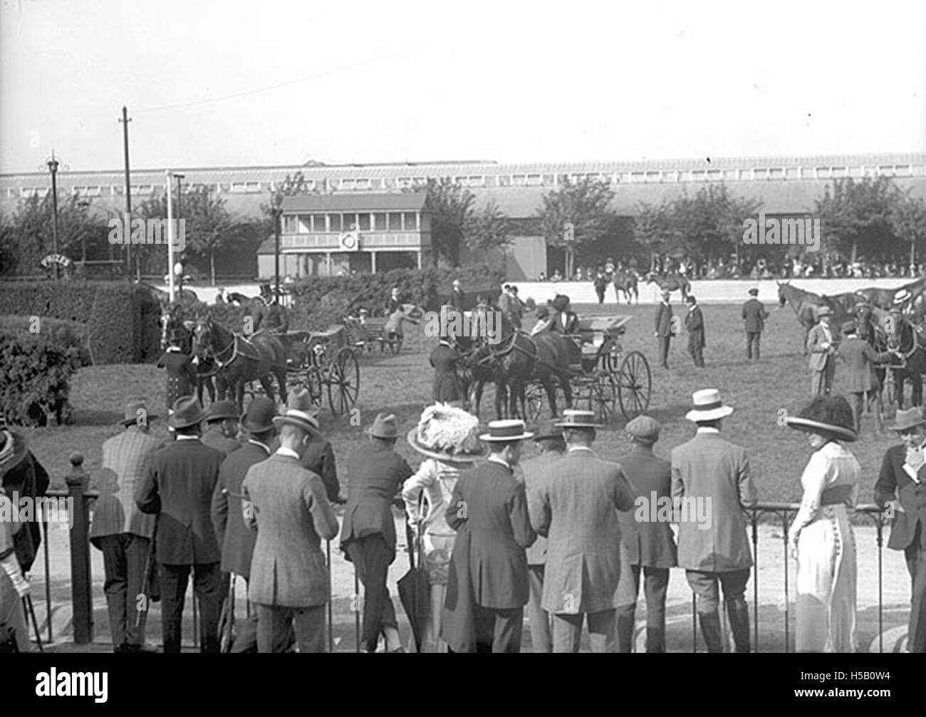 Le Dublin Horse Show est un événement équestre annuel organisé à Dublin, en Irlande. Il présente le saut d'obstacles, le dressage et d'autres disciplines équestres, attirant les meilleurs concurrents du monde entier. Banque D'Images