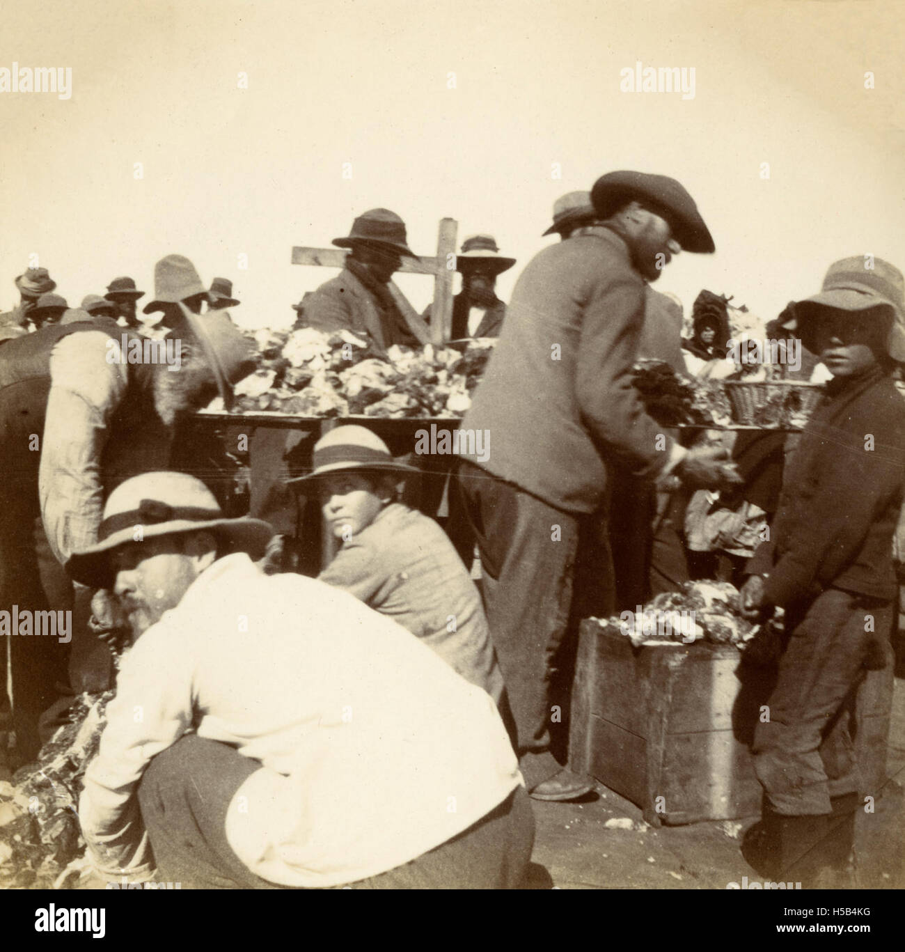 Le camp de Springfontein, daté d'environ 1901, était un camp militaire ou civil, probablement situé dans une zone rurale. Le camp a servi de base pour des activités ou des opérations spécifiques pendant cette période, fournissant un abri temporaire et une organisation pour ses habitants. Banque D'Images