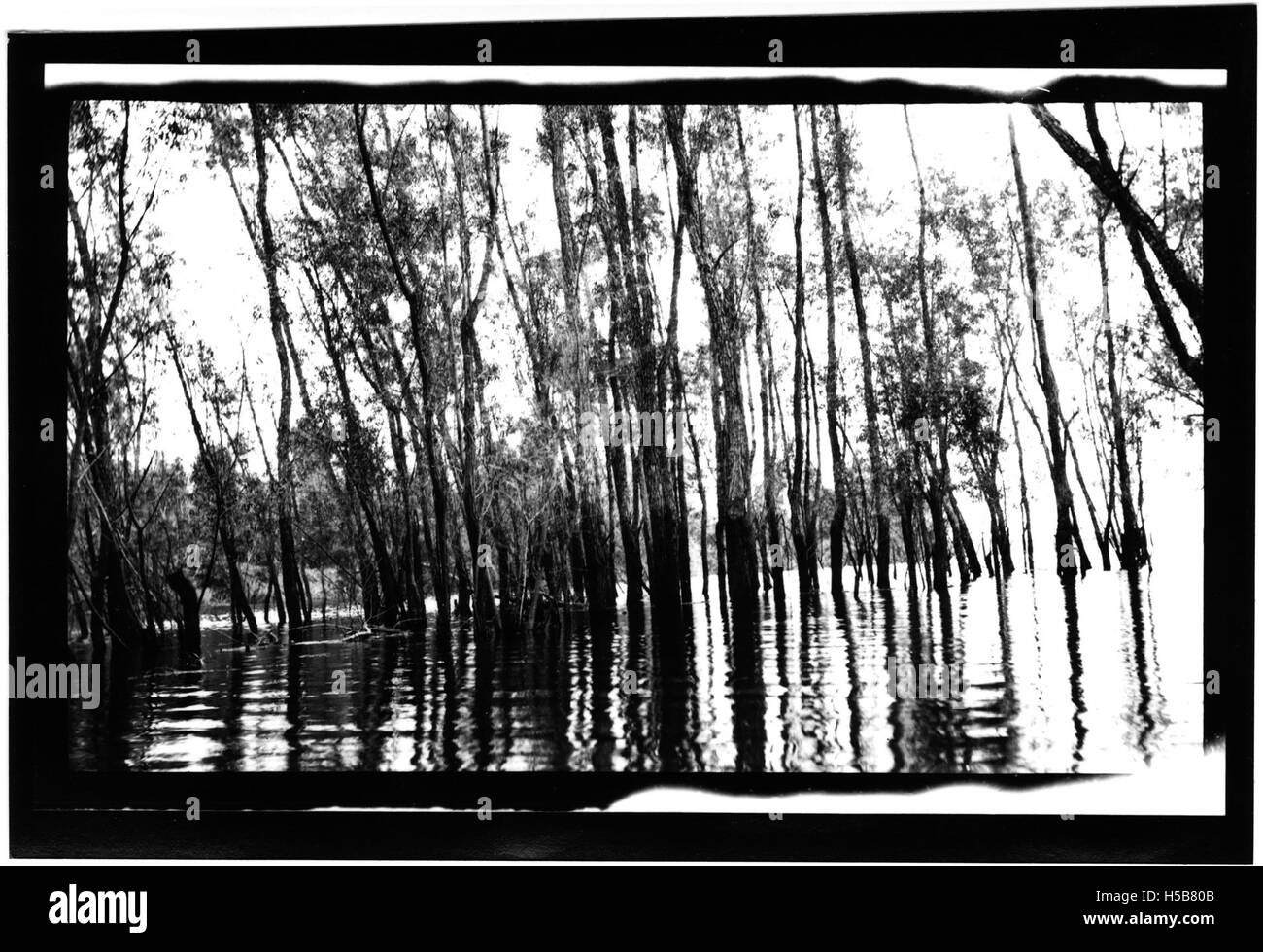 Cette photographie présente des vues du Moon Lake Club House et de son paysage environnant, mettant en valeur les caractéristiques pittoresques et récréatives du Moon Lake. Banque D'Images