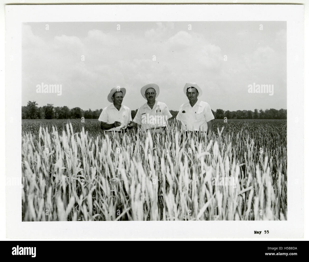 Franklin Co-op, une organisation coopérative du comté de Franklin, fournit une gamme de services à sa communauté, y compris de la nourriture, des fournitures et diverses initiatives axées sur les membres. La coopérative met l'accent sur l'économie locale et le bien-être communautaire. Banque D'Images