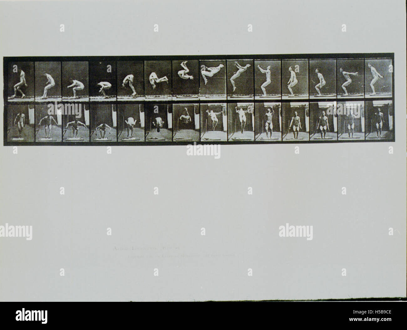 La planche 362 présente une image d'un saumon dorsal, montrant le mouvement acrobatique souvent observé en gymnastique, plongée ou d'autres sports. La plaque fournit une représentation détaillée de l'habileté athlétique et de la technique requises pour exécuter un saumon dorsal. Banque D'Images