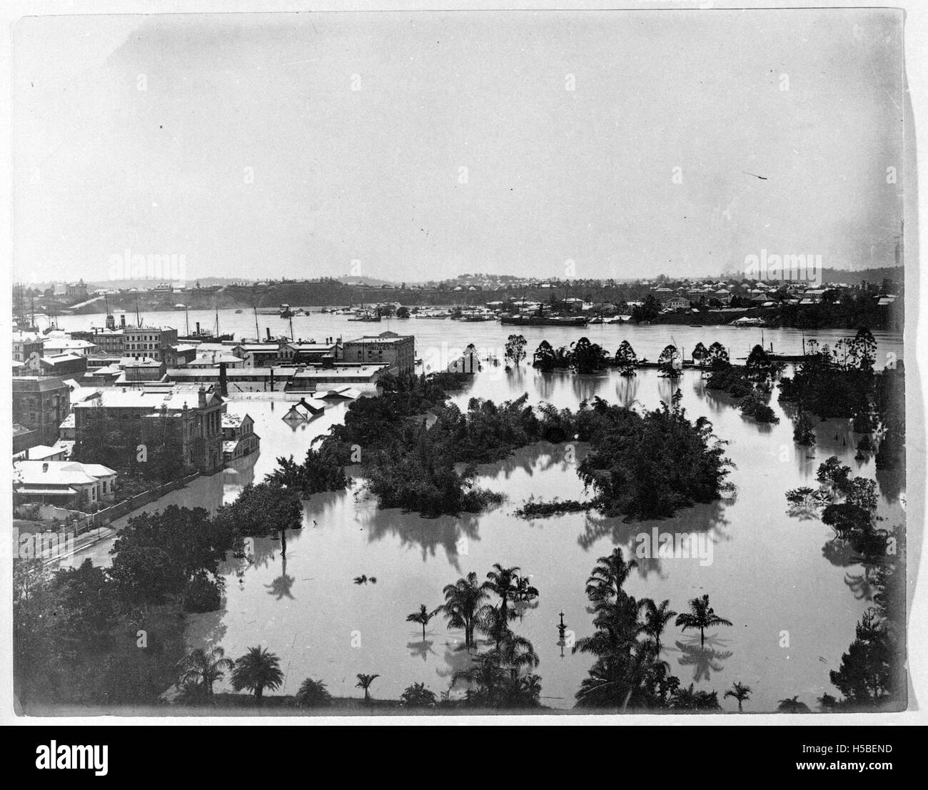 Une photographie historique des jardins botaniques et Alice Street à Brisbane pendant les inondations dévastatrices de février 1893, capturant l'étendue des dommages causés par les inondations dans la région. Banque D'Images
