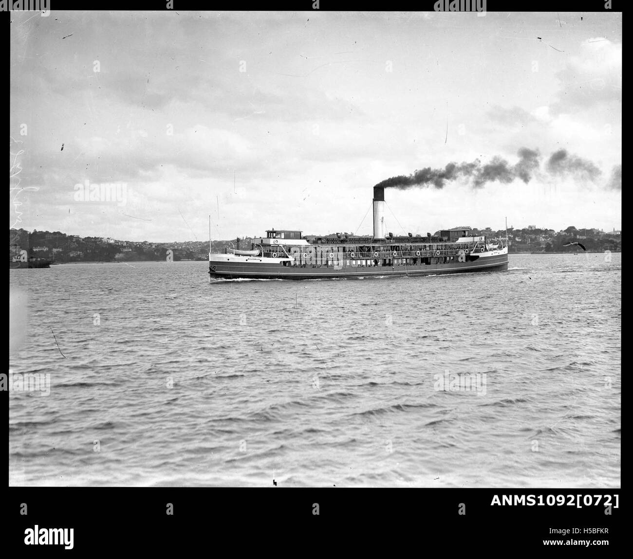 Le ferry BALGOWLAH dans le port de Sydney, un emplacement clé du réseau de transport australien. L'image montre probablement le ferry opérant dans le port. Banque D'Images Le ferry BALGOWLAH dans le port de Sydney, un emplacement clé du réseau de transport australien. L'image montre probablement le ferry opérant dans le port. Banque D'Images