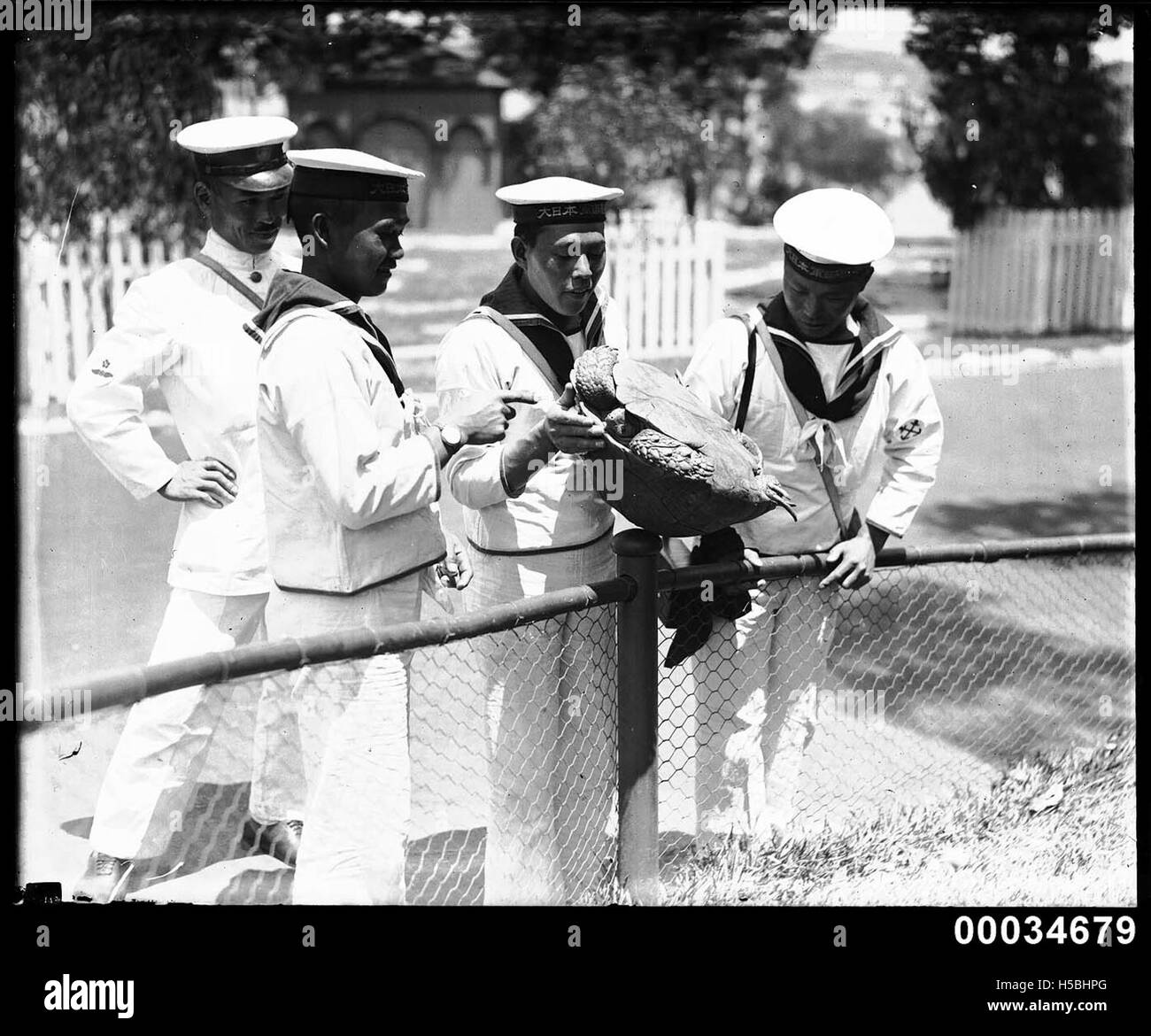 Les marins japonais à partir de l'Escadron de la marine impériale avec une tortue au Zoo de Taronga, 28 Janvier 1924 Banque D'Images