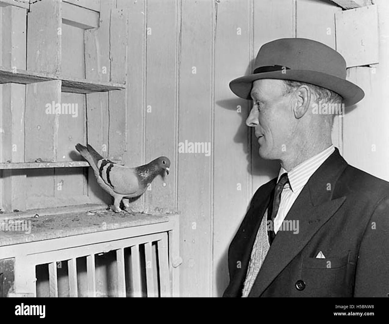 Morris Whittington est vu avec ses pigeons primés, montrant son succès dans la compétition de pigeons. Cela souligne l'importance culturelle du passe-temps pendant son temps. Banque D'Images