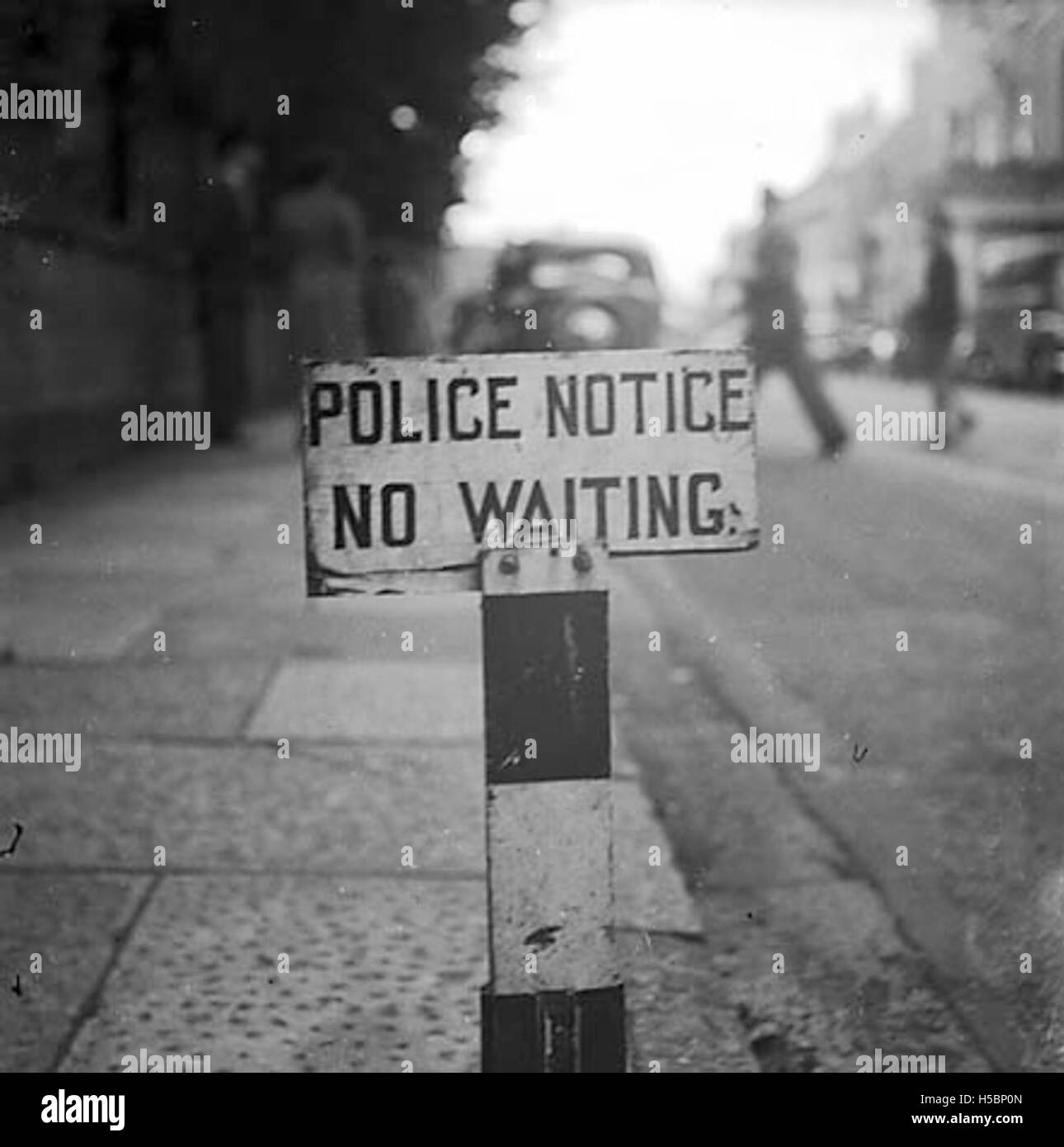 Un rapport sur une vente de béliers à Oswestry, causant d'importantes perturbations de la circulation dans la région. L’événement souligne l’importance des ventes agricoles et leur impact sur les infrastructures locales. Banque D'Images