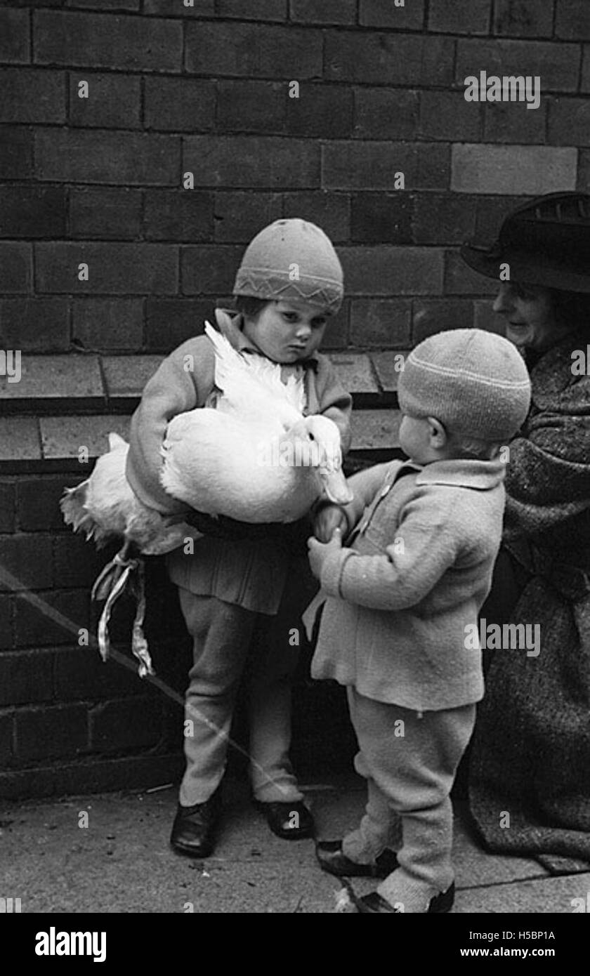 Une photographie ou une référence au marché de Noël d'Oswestry, un événement annuel populaire à Oswestry, en Angleterre. Le marché propose généralement des produits de fête, des vendeurs locaux et des célébrations saisonnières. Banque D'Images
