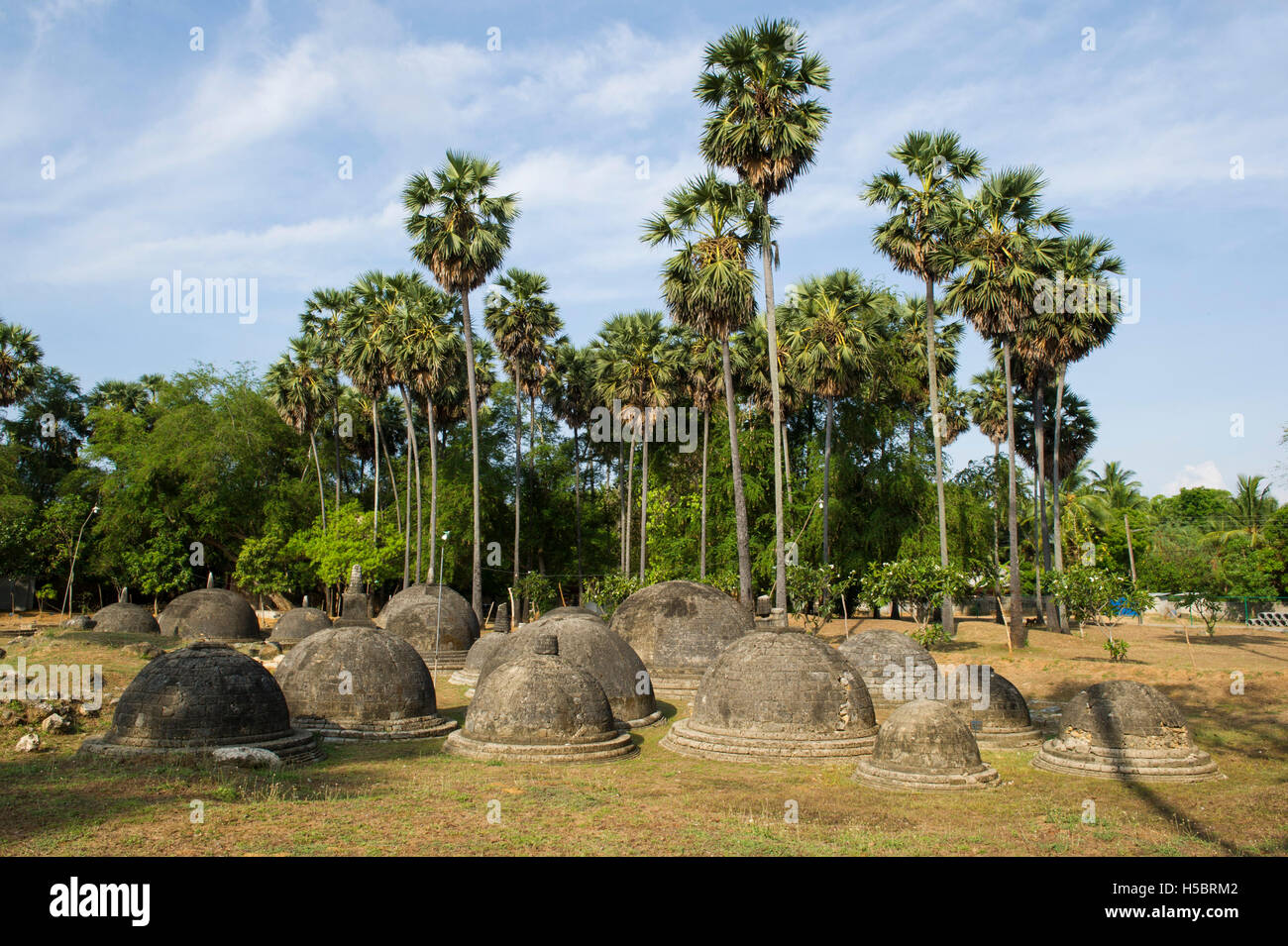 Groupe de petits stupas bouddhistes à un site archéologique de Kandarodai, ruines datant de la 9ème ANNONCE de siècle, Jaffna, Sri Lanka Banque D'Images