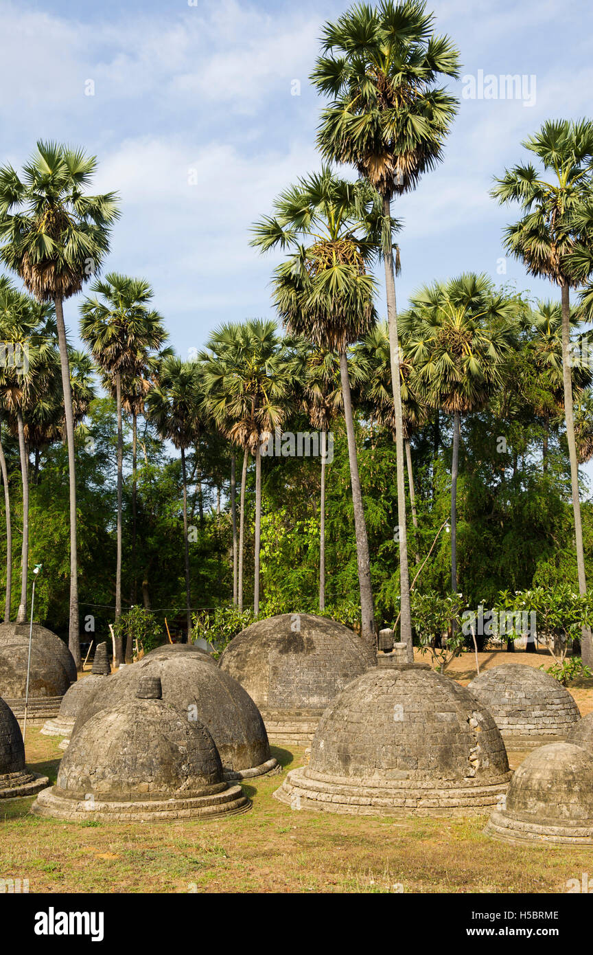 Groupe de petits stupas bouddhistes à un site archéologique de Kandarodai, ruines datant de la 9ème ANNONCE de siècle, Jaffna, Sri Lanka Banque D'Images
