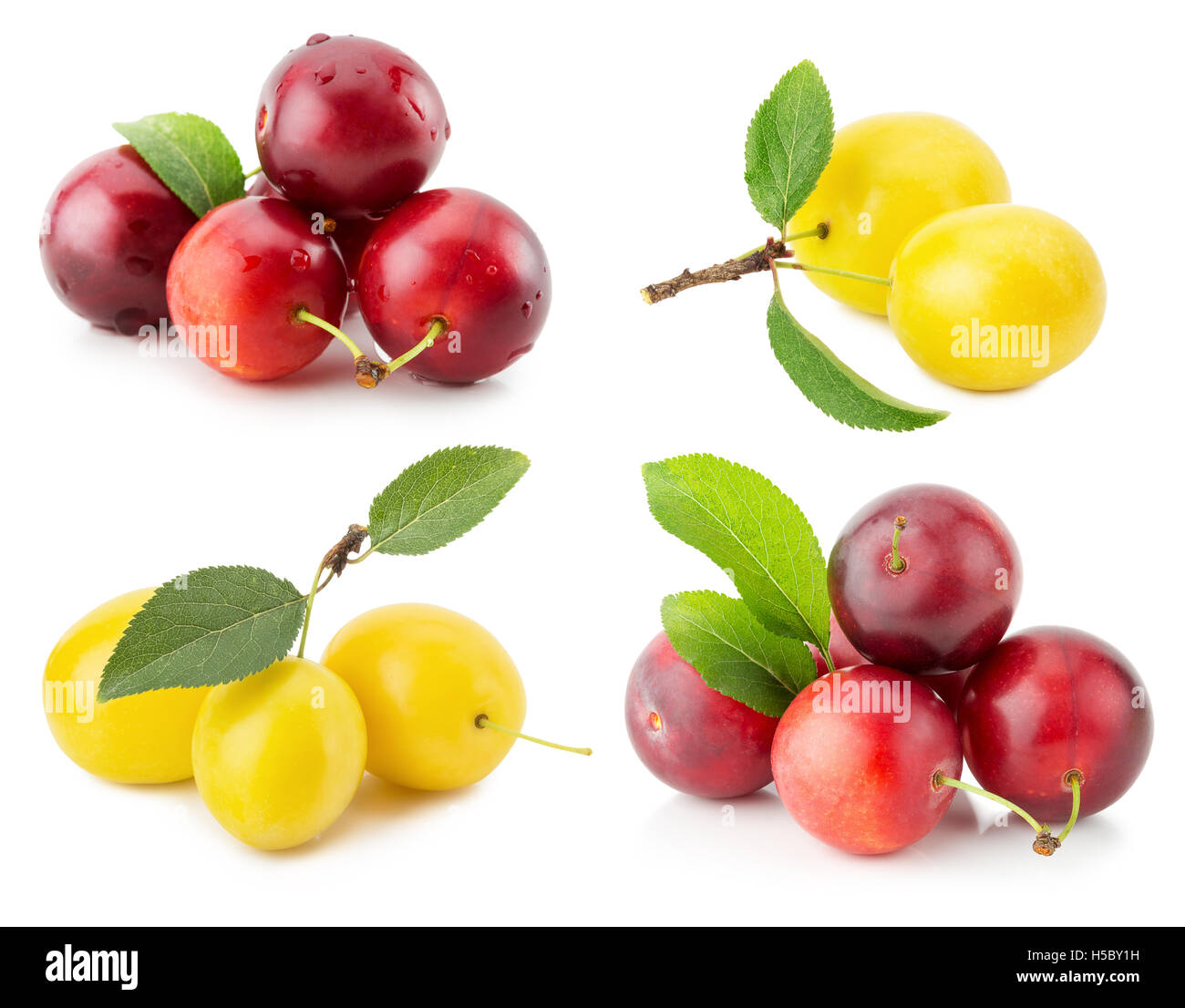 Collection de prunes cerises isolé sur le fond blanc. Banque D'Images