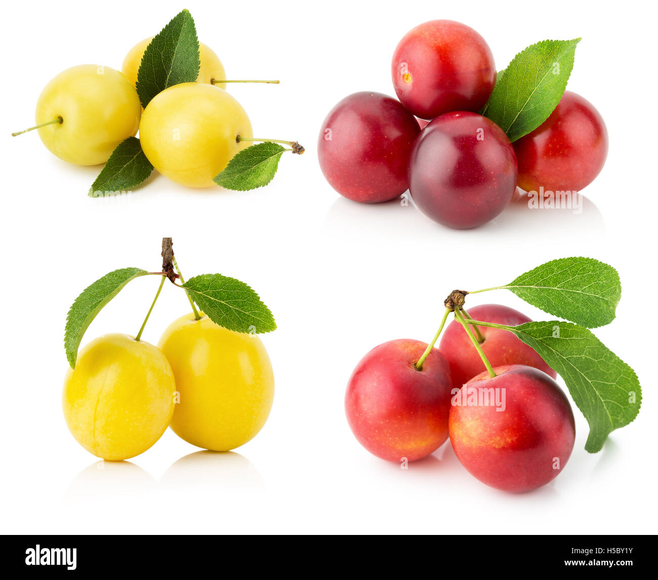 Collection de prunes cerises isolé sur le fond blanc. Banque D'Images