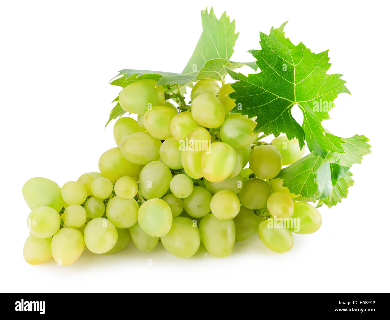 Raisin vert isolé sur le fond blanc. Banque D'Images