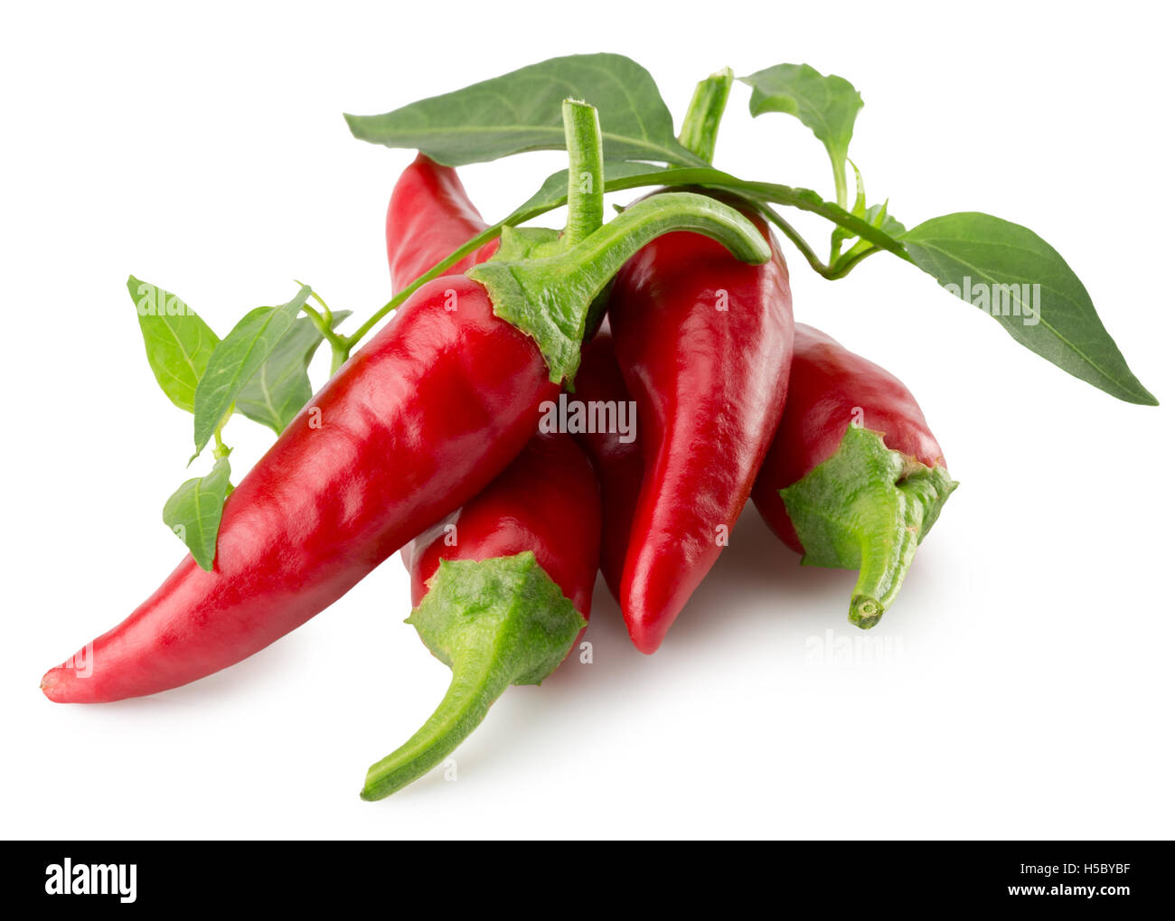 Chili Pepper isolé sur le fond blanc. Banque D'Images