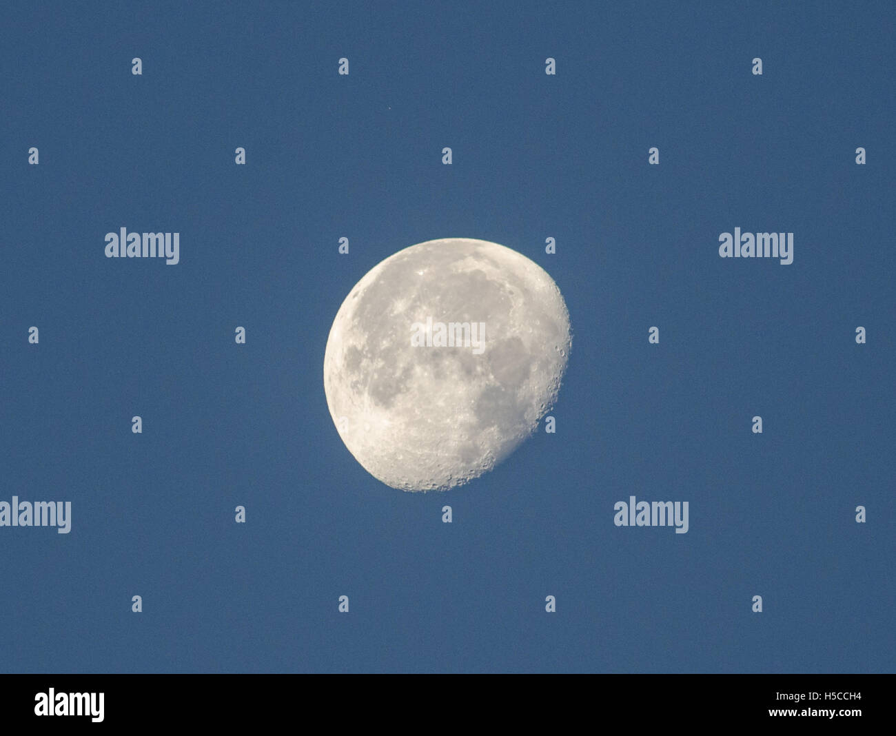 Une Lune gibbeuse décroissante dans le bleu ciel du matin juste après le lever du soleil Banque D'Images