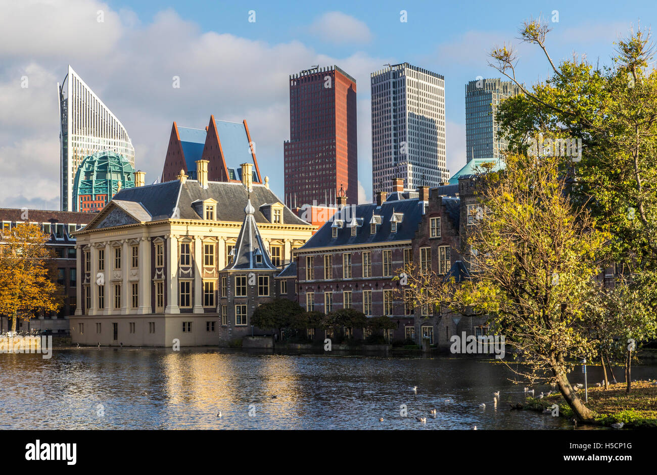 La Haye Capitale Des Pays Bas Mus e Mauritshuis Royal Photo Galerie La Haye Capitale Des Pays Bas Mus e Mauritshuis Royal Photo Galerie