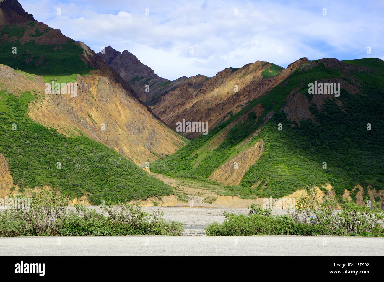 Scenic sur la montagne au Parc National Denali et préserver (Mt. McKinley), Alaska Banque D'Images