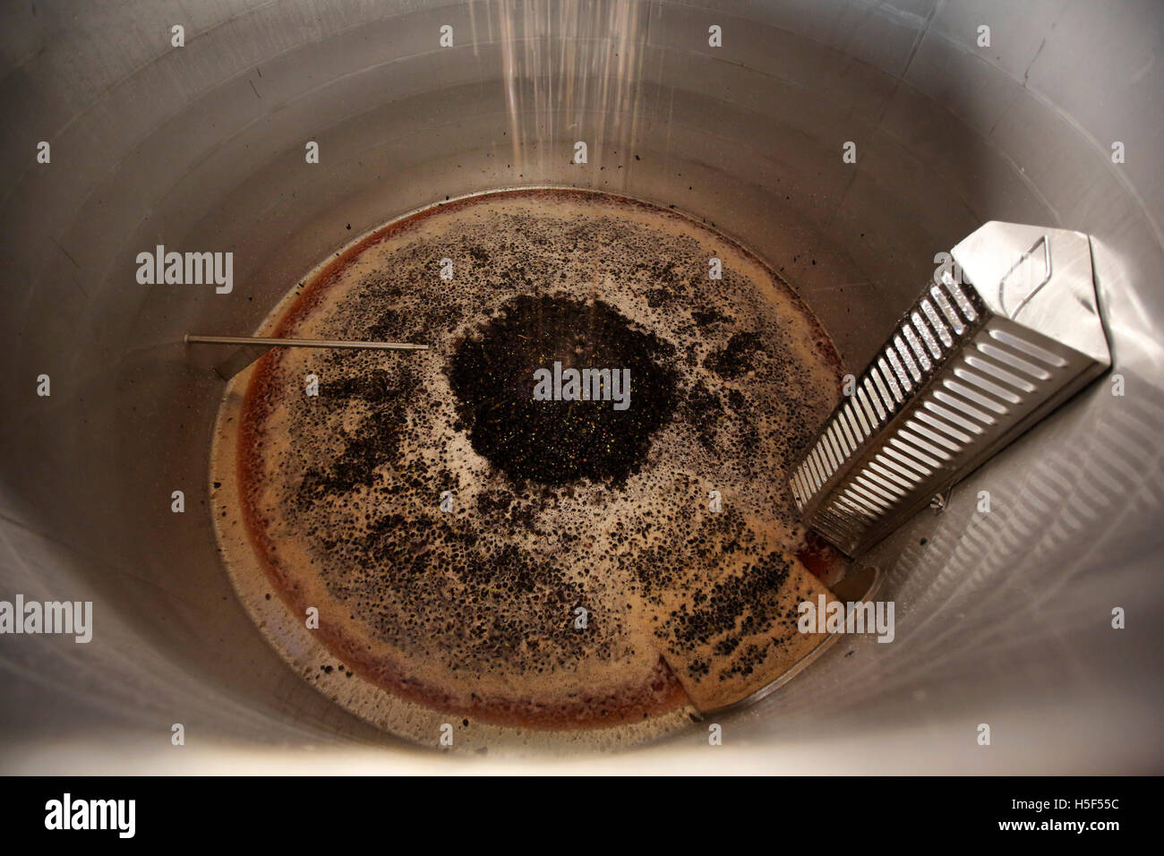 Le Hampshire, au Royaume-Uni. 19 octobre, 2016. Pinot noir récoltés en une baisse de la TVA dans le métal à l'Hambledon Vineyard winery dans le Hampshire, au Royaume-Uni Mercredi, 19 octobre 2016. Les vendanges vin anglais a commencé, les perspectives sont bonnes après une fin d'été, en août et septembre. La vigne à Hambledon, un des plus anciens du pays, a 75 000 vignes de plus de 20 hectares dans le parc national des South Downs. Credit : Luke MacGregor/Alamy Live News Banque D'Images