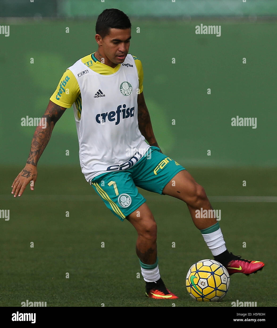 SÃO PAULO, SP - 20.10.2016 : TREINO N5454 - PALMEIRAS player, SE Palmeiras, au cours de la formation, l'Académie de football. (Photo : Cesar Greco/Fotoarena) Banque D'Images