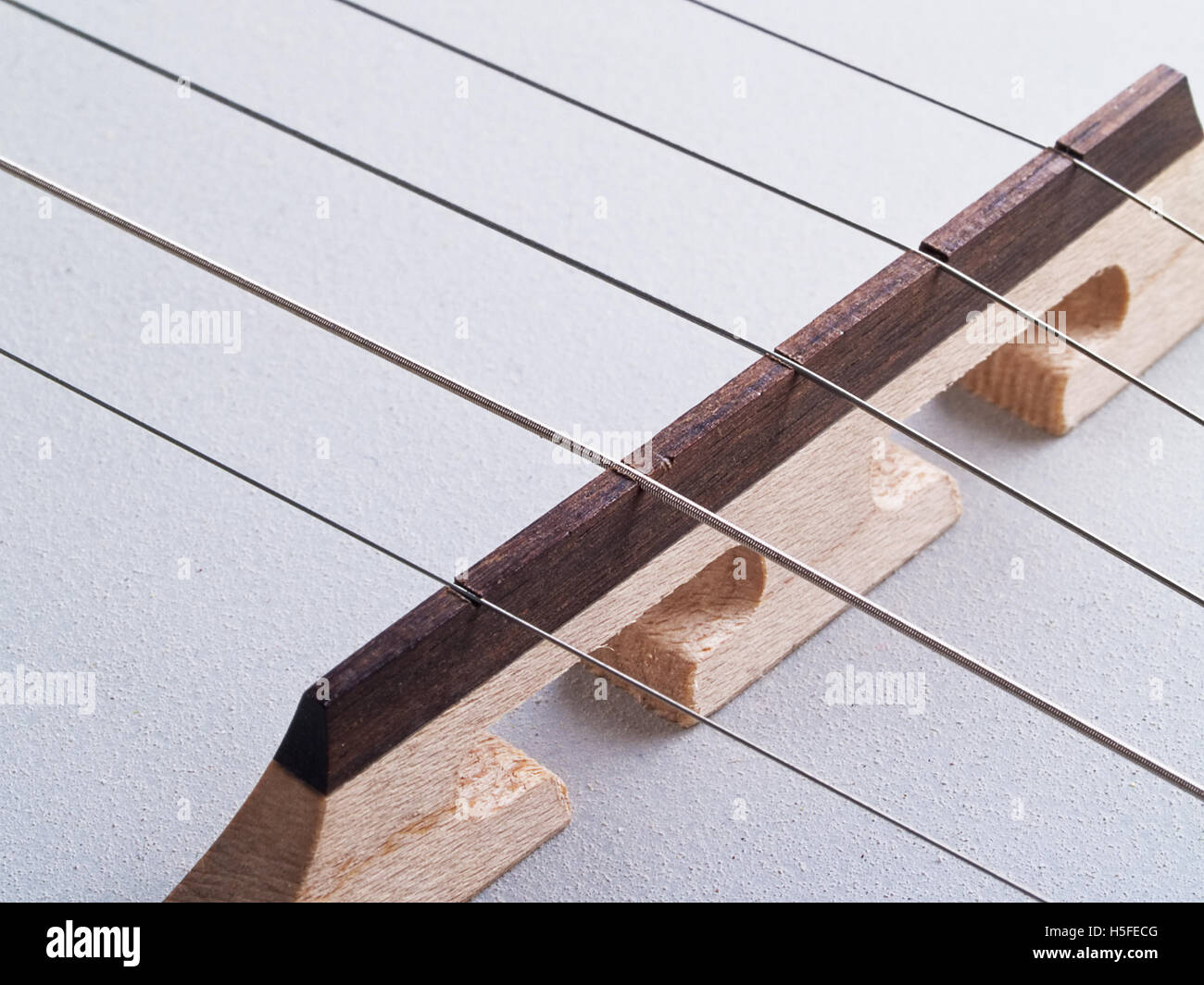 Le banjo et cordes Banque D'Images