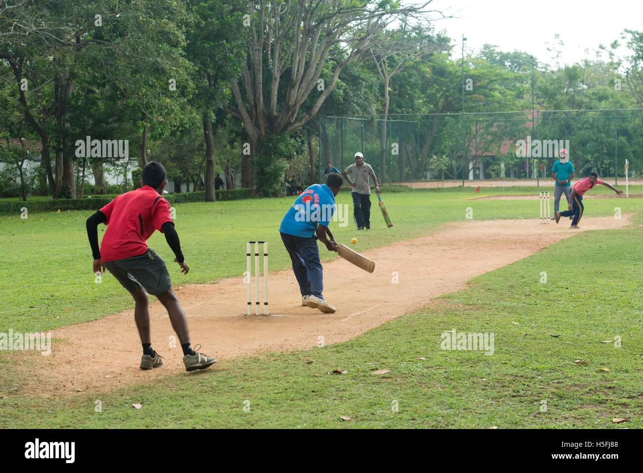 Jeu de cricket, Sri Lanka Banque D'Images