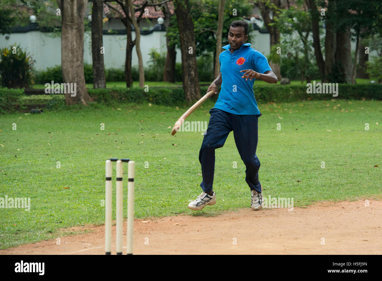 Jeu de cricket, Sri Lanka Banque D'Images