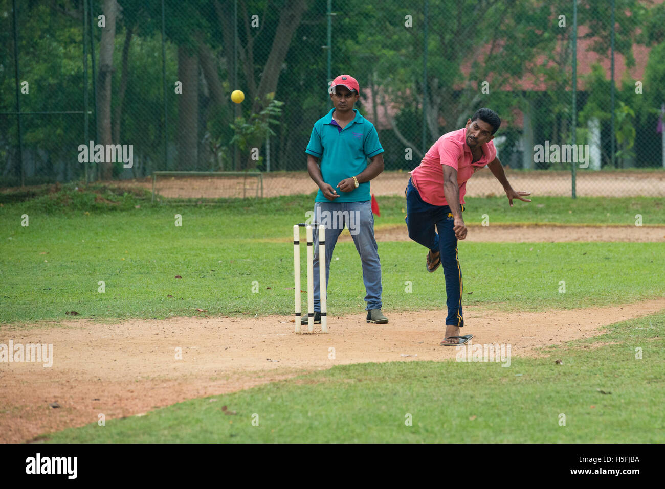 Jeu de cricket, Sri Lanka Banque D'Images