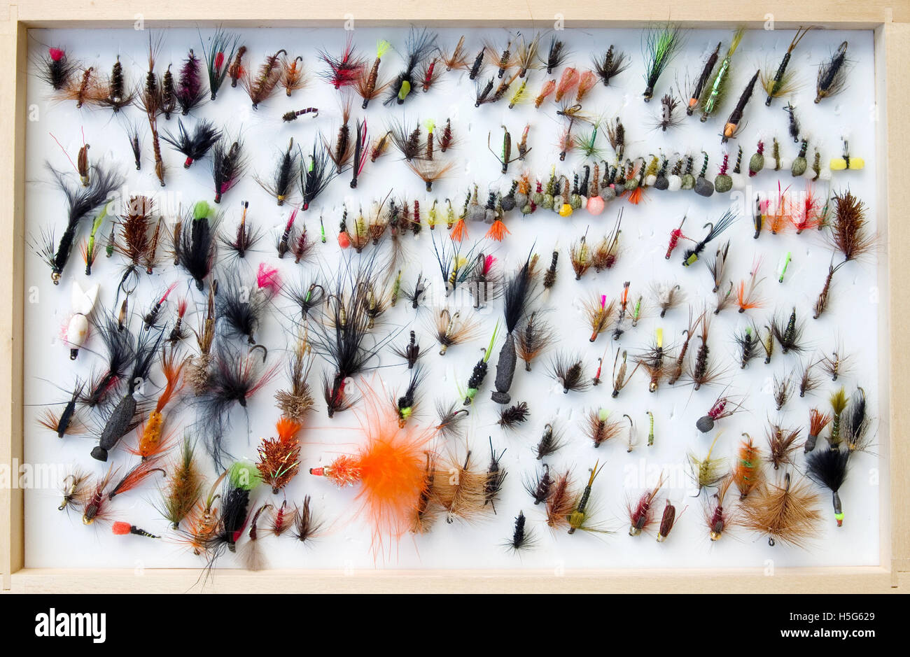 Fort de dépôts humides et secs des mouches de pêche pour la pêche à la truite stillwater Banque D'Images