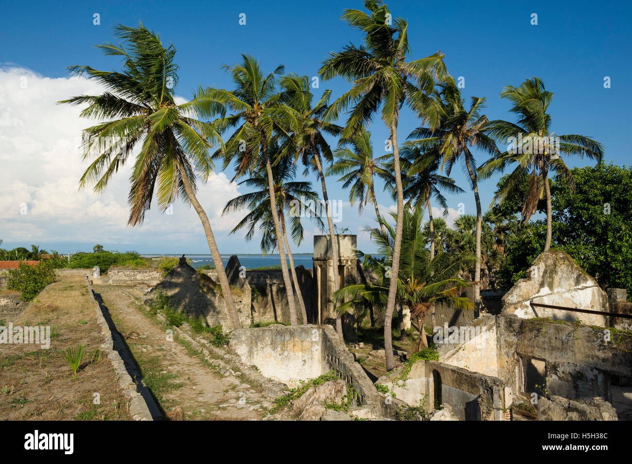 Ruines du Fort de Mannar, construit par les Portugais en 1560 et reconstruite plus tard par les Hollandais, Mannar, Sri Lanka Banque D'Images