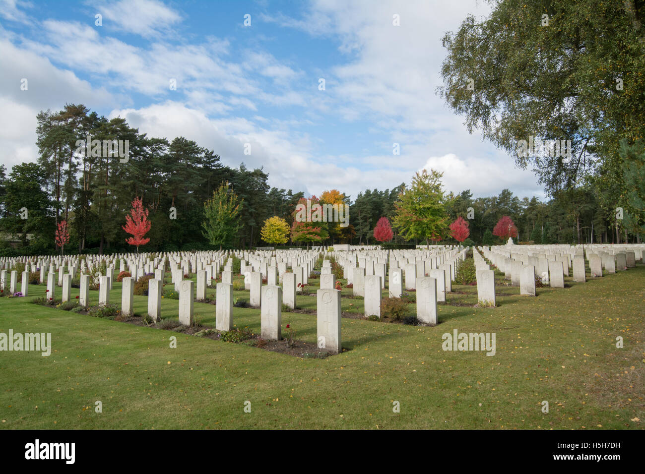 Cimetière militaire de Brookwood à Surrey, Angleterre à l'automne. Banque D'Images