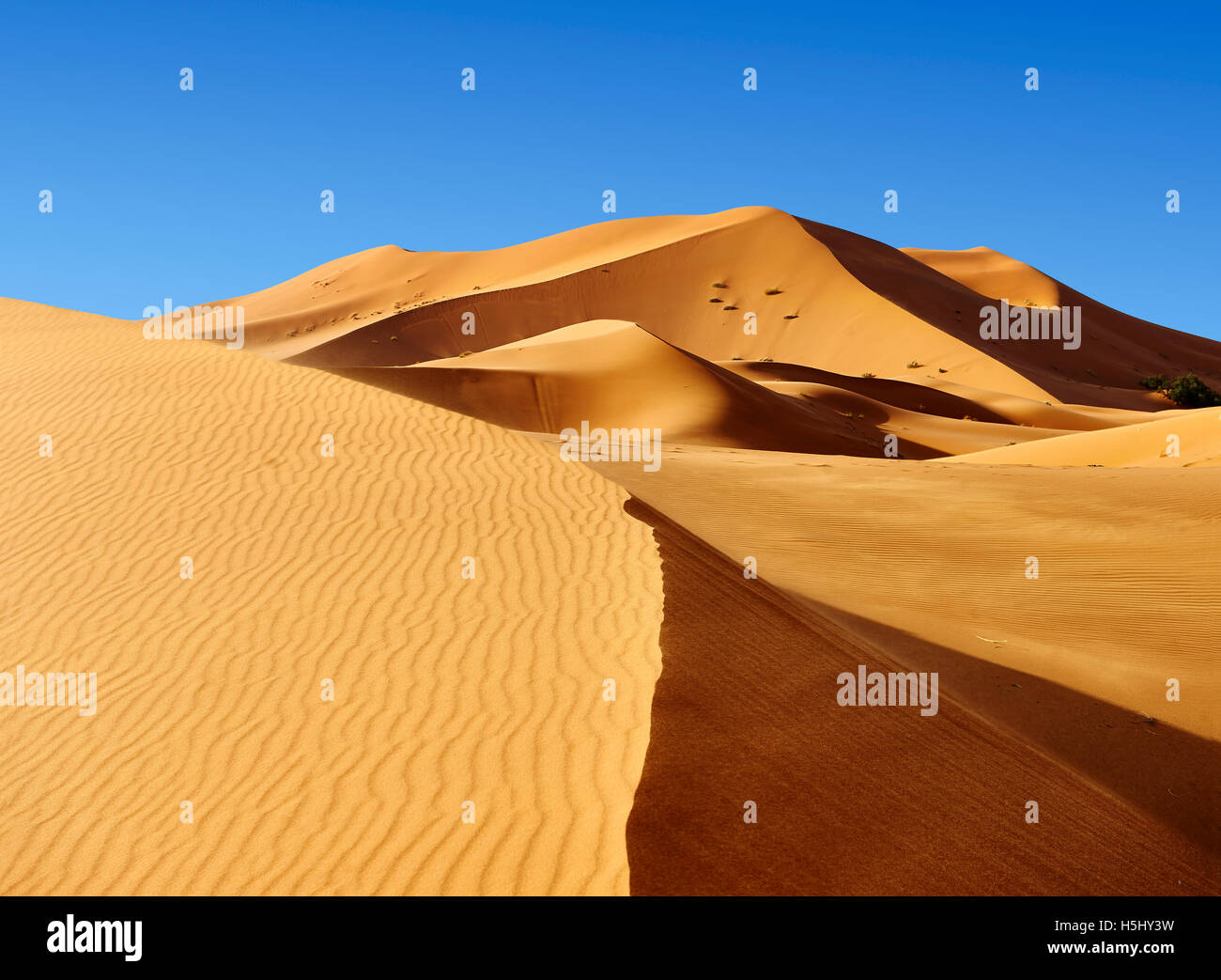 Sahara dunes de l'erg Chebbi Merzouga, Maroc, Afrique Banque D'Images