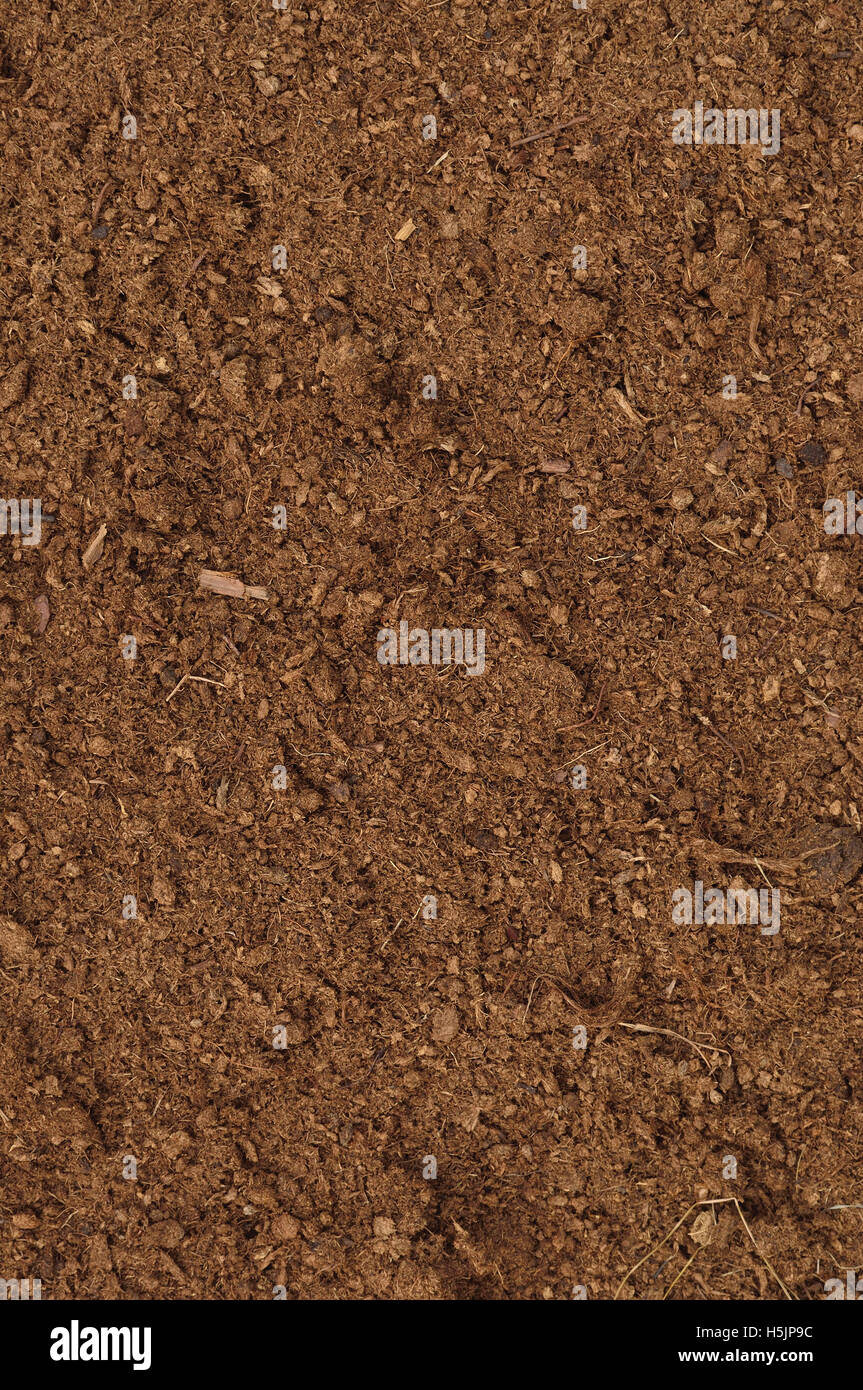 Gazon tourbe Gros plan macro, grand brun détaillées humus organique texture du sol, motif texturé copie espace vertical Banque D'Images