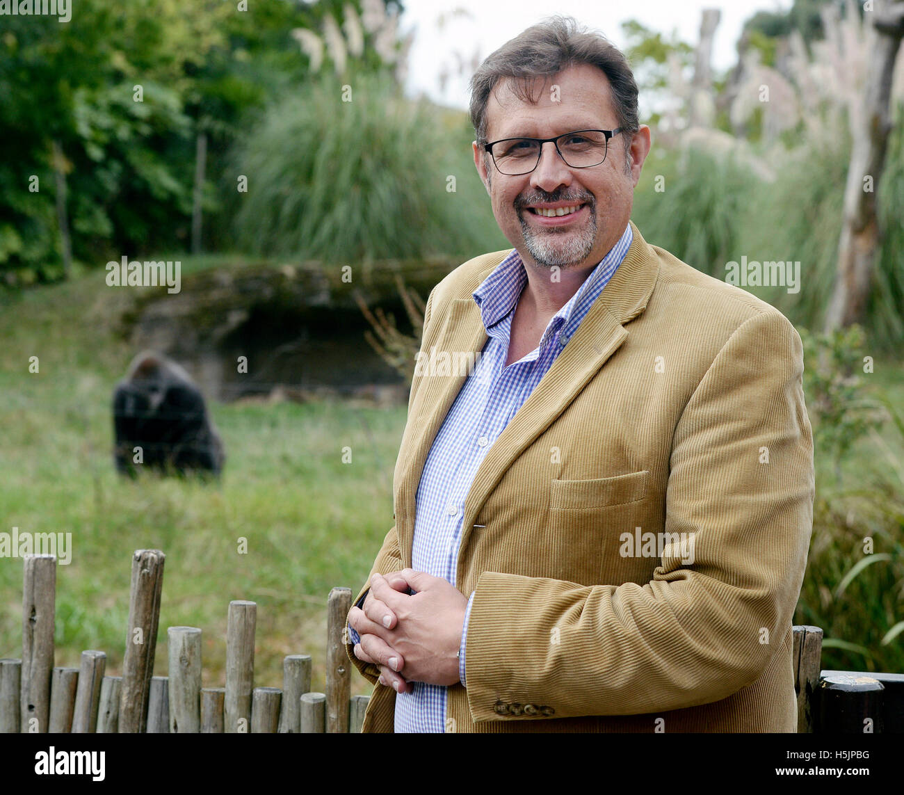 La ZSL directeur zoologique Le professeur David Champ avec Effie femelle gorille comme il parle aux médias après la 'fuite des opportunistes d'un gorille au dos argenté, Kumbuka (pas sur la photo), à travers deux portes déverrouillées dans un couloir où un gardien travaillait le 13 octobre. Banque D'Images