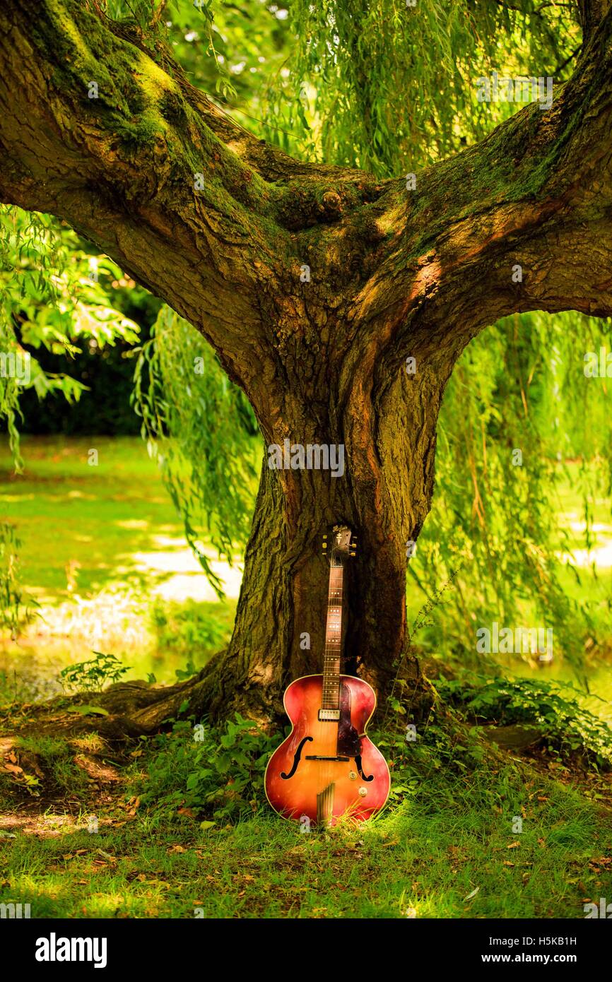 Rouge et jaune une guitare hofner appuyé contre le tronc d'un arbre sous les branches de saule pleureur Banque D'Images