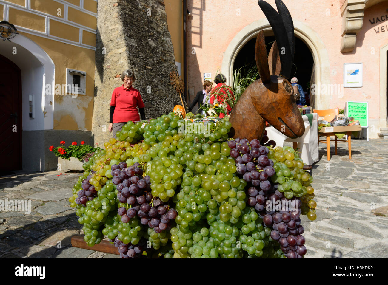 Weißenkirchen in der Wachau : de grâce Weinberggoas (vignoble de chèvre) avec du vin de raisin, place du marché (Marktplatz), Teisenhofe Banque D'Images
