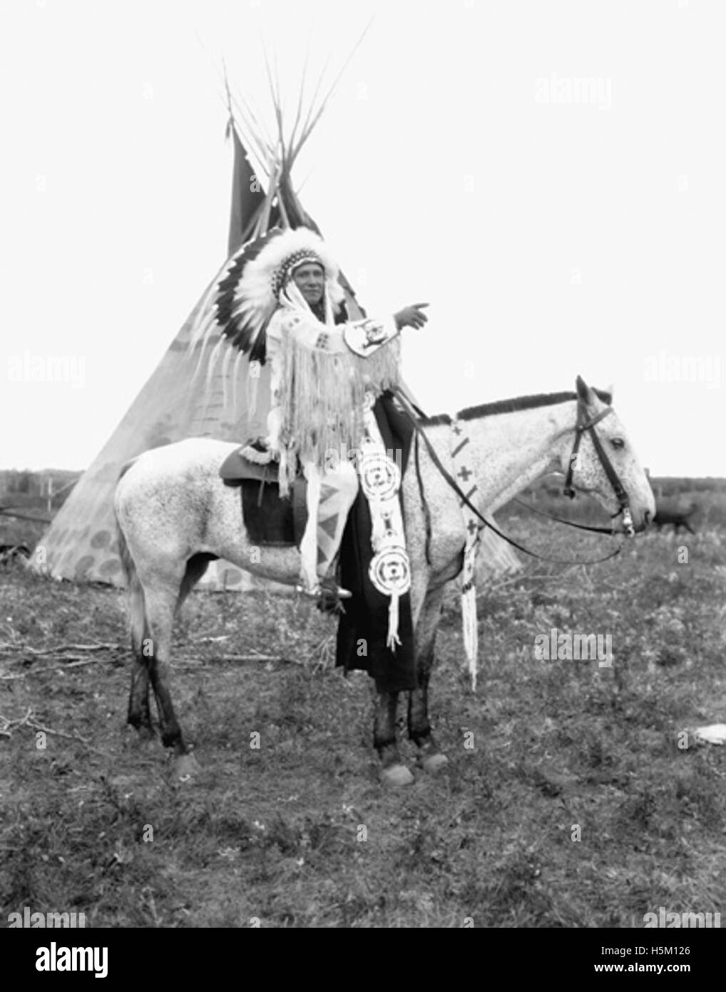 Une photographie de Joe Big Plume, le chef de la nation Tsuu T'ina, numéro 296. L'image souligne son rôle de chef de file au sein de la communauté Tsuu T'ina, un peuple autochtone au Canada. Banque D'Images